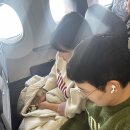 세븐(강서공항중앙) | 여행 1일차 - 신치토세공항에서 JR삿포로역, 소라치...야키토리 추천), 인형뽑기, 세븐일레븐 오뎅