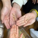 모덕초등학교 | [초등학교 진로체험] 부산 모덕초등학교에 곤충 진로 직업인 교육 다녀왔습니다. (2)