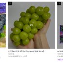 송산 농장 이미지