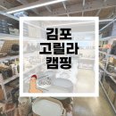 [김포 고릴라캠핑] 초보 캠핑용품점 방문 후기