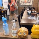 돼지제국 이미지