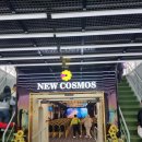 뉴코스모스호 2 이미지