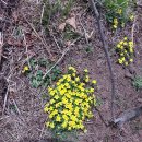 청도자연휴양림 이미지