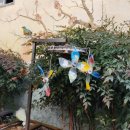 서구-01-28 이미지