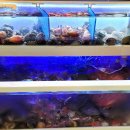 바다를 훔친 언니 이미지