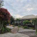 초가집 | 제주도 서귀포 산방산맛집 제주초가집 산방산본점 솔직 후기