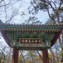 여가 | 사찰 - 직지사 (김천시)
