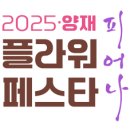 피어나플라워 - 서구 검단로744번1길 25 | 피어나플라워