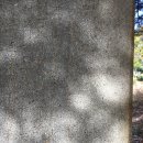 유석 선생 묘 및 신도비 이미지