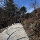 뉴라온다이어트캠프 이미지