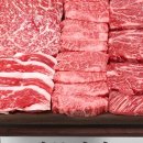 백두의료기 이미지