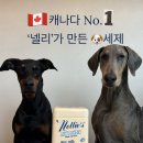 마리펫 | [강아지 고양이 세제]캐나다 1등 세제브랜드 넬리 포우 파우더 펫 세탁세제 후기