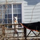 건평리 마을회관 이미지