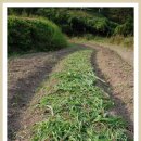 단지농장 이미지