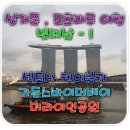 바이더카 이미지