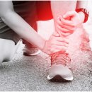 365열린우리의원 이미지