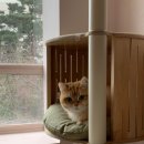 에어묘앤비 이미지