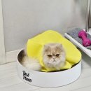 냠냠냠 이미지