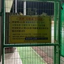 보성테니스장 네이버블로그