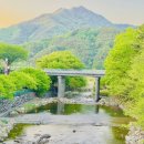 금천계곡 야영장 이미지