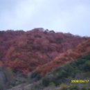 산마루농장 이미지