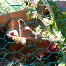 자연애농장 이미지