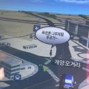 선애농장 | 푸르른 나무처럼 푸르게