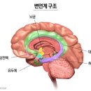 영재안전