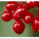 노오란펜션 이미지