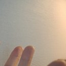 복복PC | 단 한 번의 삶 / 김영하