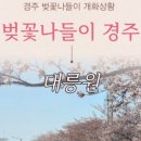 신평동1080 이미지