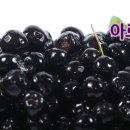 전북지업사