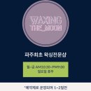 왁싱더문 이미지