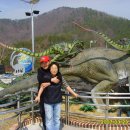 공룡발톱 이미지