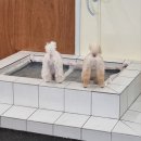 멈무유치원 이미지