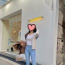 포멜카멜레신세계백화점