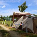 땅콩 게임장 이미지