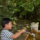 경북열쇠, 연일열쇠, 열쇠나라 | 경북/경주) 경주 대표주자, 아이들과 가기 좋은 고귀한 그 곳' 불국사'