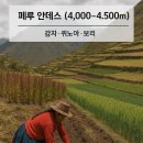 고원농장 이미지