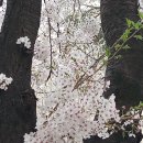 HD현대인프라코어 군산노동조합 | 로컬스티치는 국내 최초
