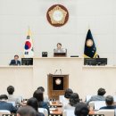295 이미지