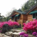 청강수계곡펜션 이미지