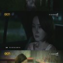 강기화 카카오 검색결과