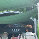 [어린이 공연개발 워크숍]  황금빛 언덕의 모험 | [광명 가볼만한곳] 광명동굴 가족여행 후기 🌌 아이와 함께 즐기는 역사·와인·빛의 동굴