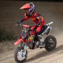 코리아파크장 이미지