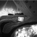 그린아이즈 이미지