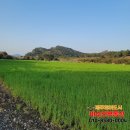 미소인공인중개사사무소 이미지