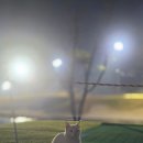 (주)신니개발 네이버블로그