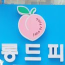 살롱 드 피치 이미지