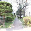 롯데일등공인중개사사무소 네이버블로그